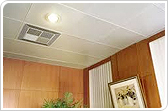 Aluminium False Ceiling